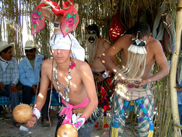  Yaquis y Mayos del Centro-Sur del Estado de Sonora son los únicos grupos de indígenas de México que celebran toda la Cuaresma